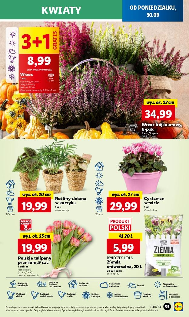 Gazetka promocyjna Lidl str. 61