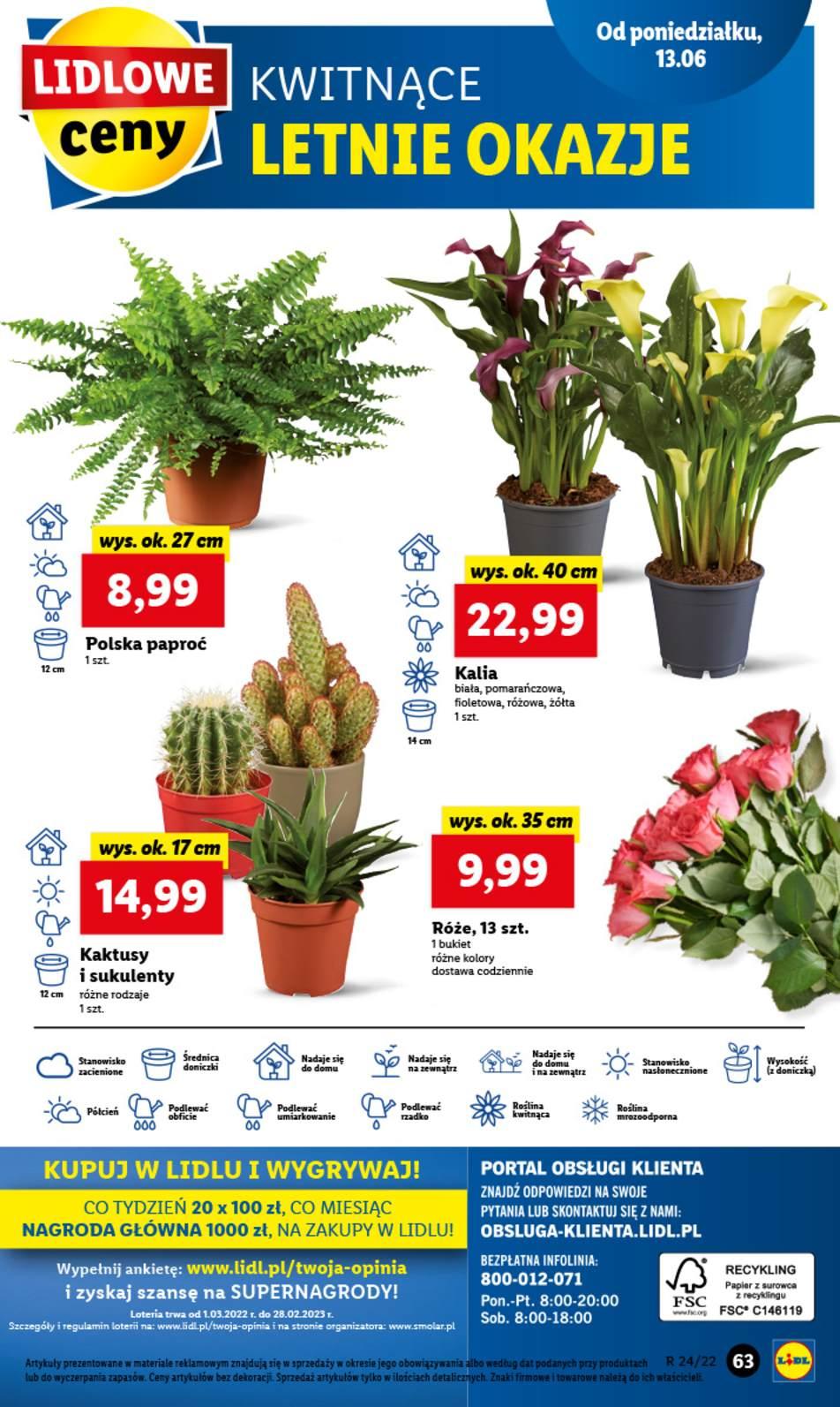 Gazetka promocyjna Lidl str. 63