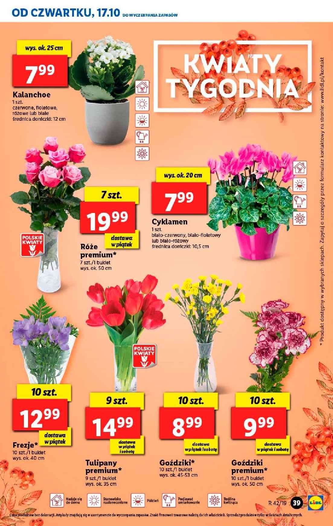 Gazetka promocyjna Lidl str. 39