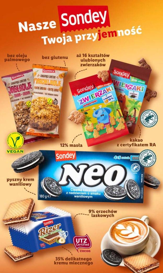 Gazetka promocyjna Lidl str. 69