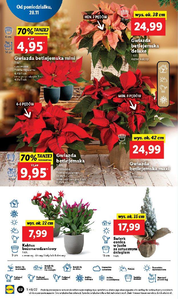 Gazetka promocyjna Lidl str. 66