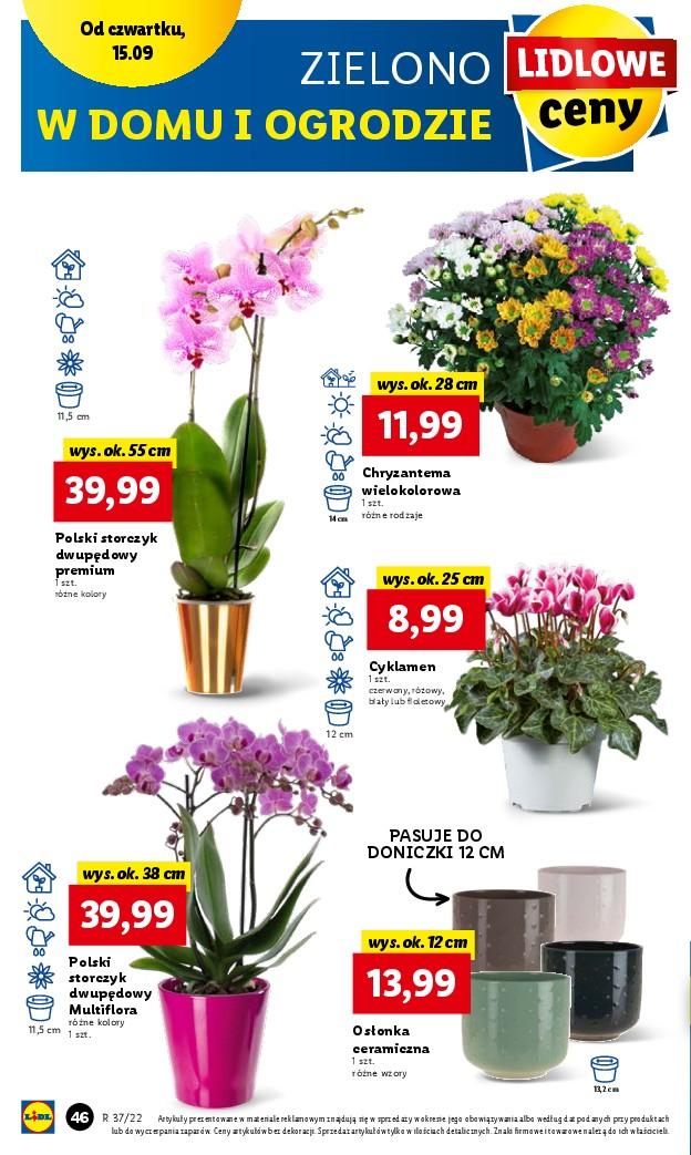 Gazetka promocyjna Lidl str. 46
