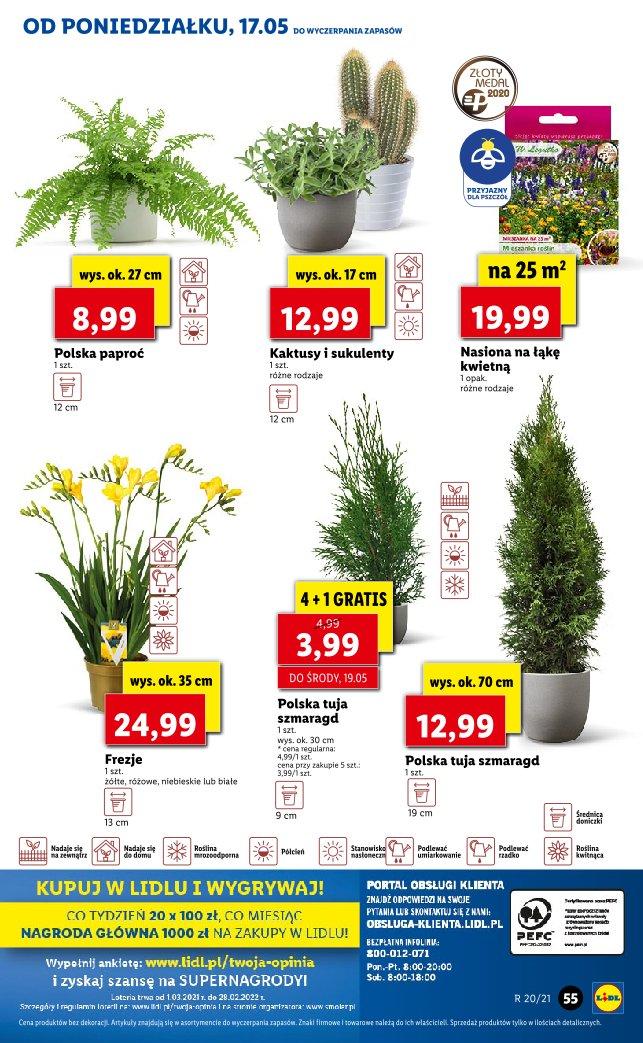 Gazetka promocyjna Lidl str. 55