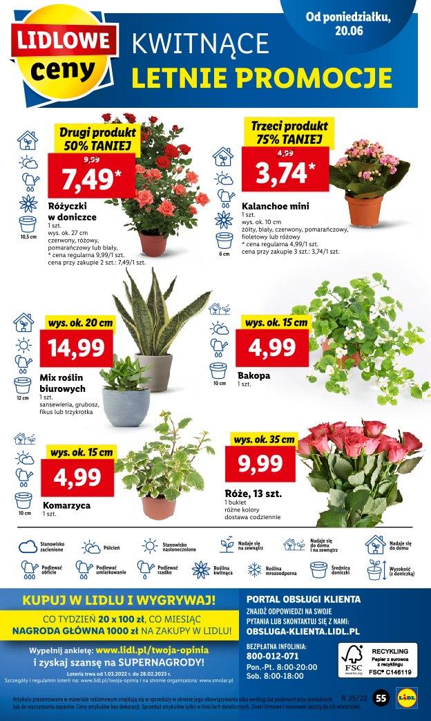Gazetka promocyjna Lidl str. 55