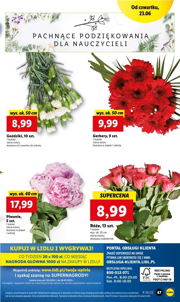 Gazetka promocyjna Lidl str. 47