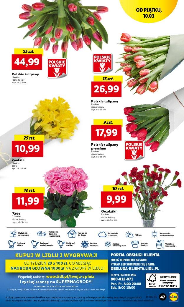 Gazetka promocyjna Lidl str. 55