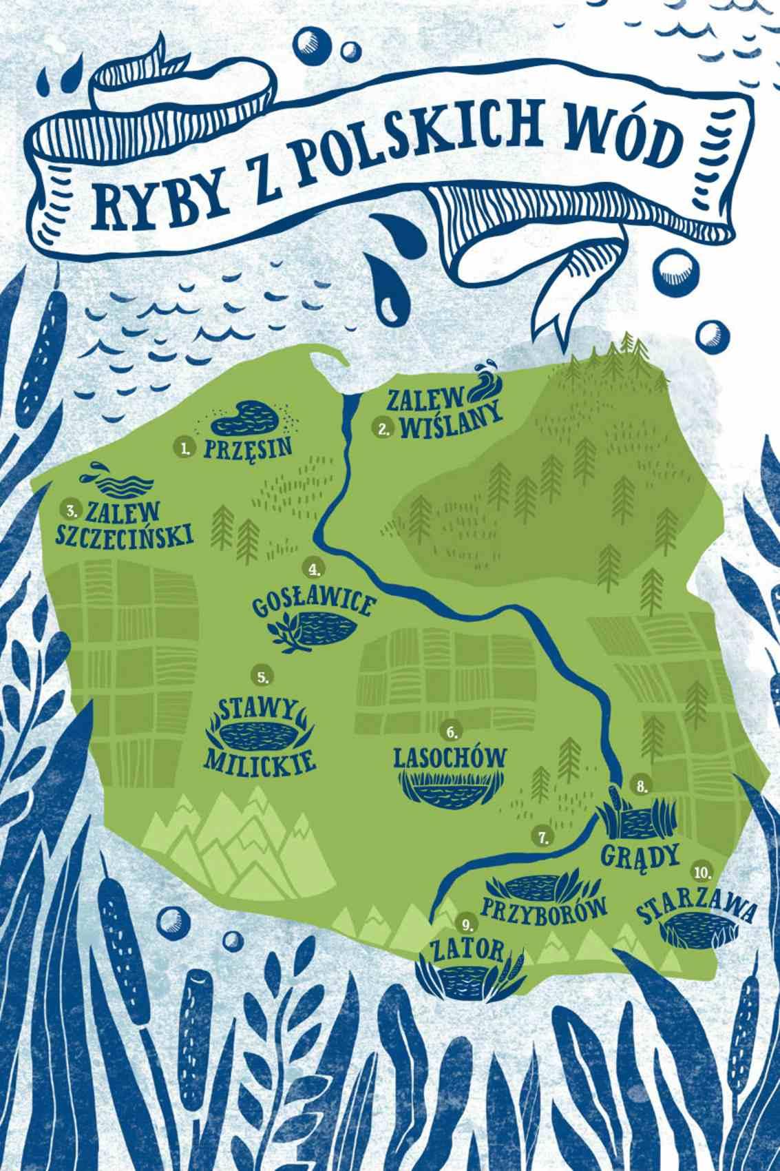 Gazetka promocyjna Lidl str. 16