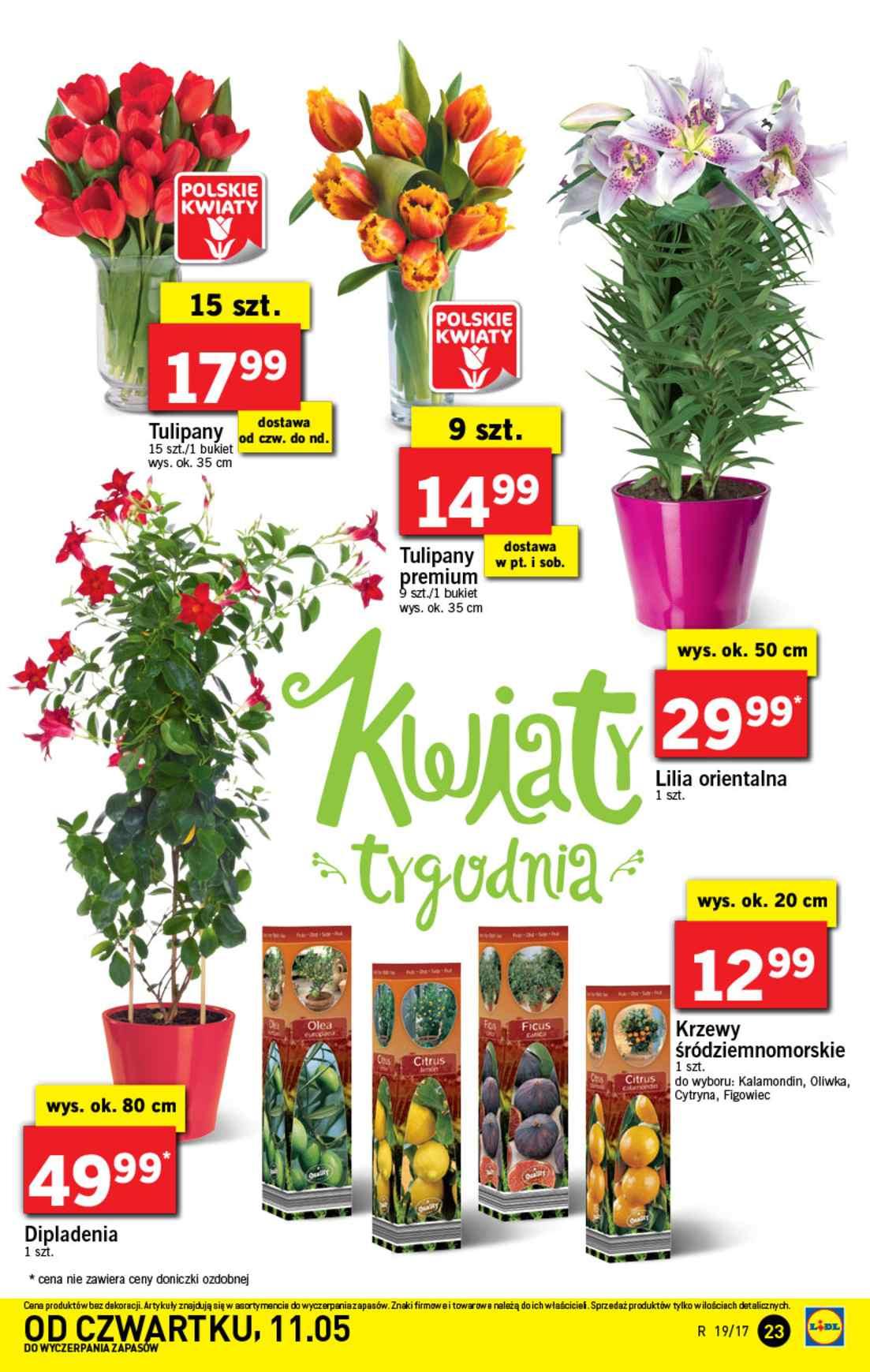 Gazetka promocyjna Lidl str. 23