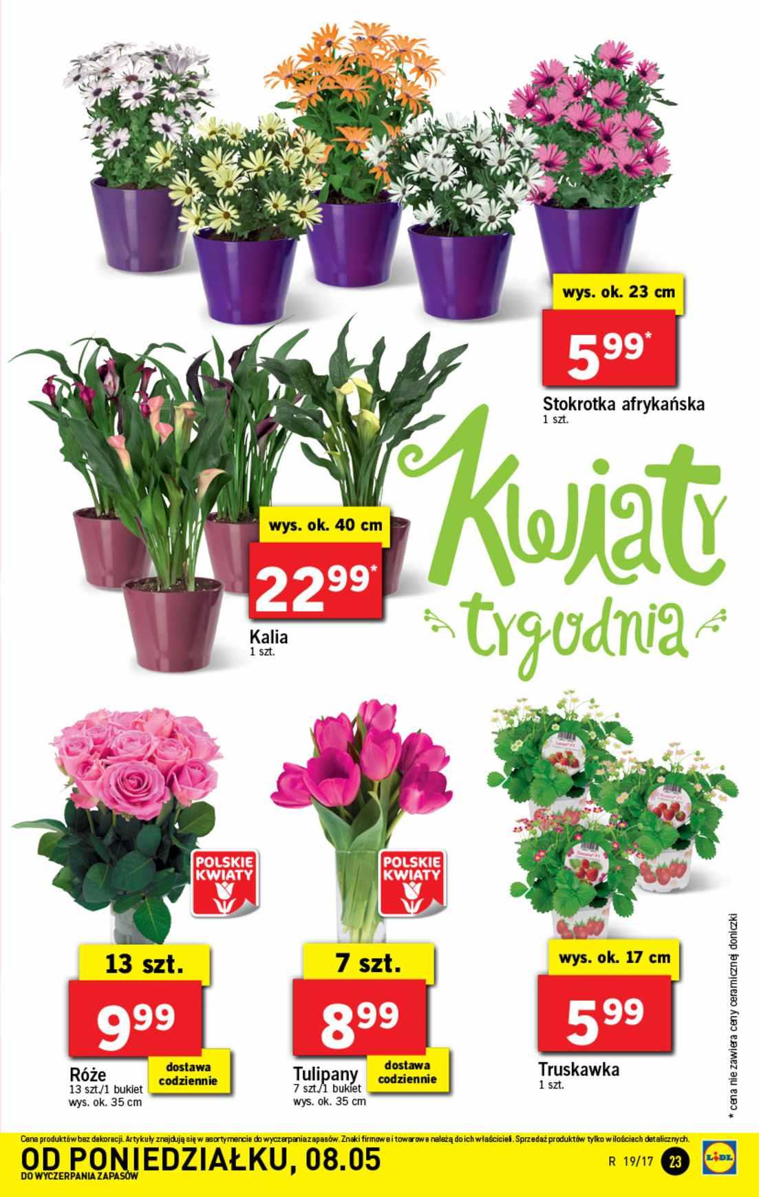 Gazetka promocyjna Lidl str. 23