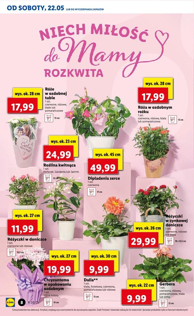 Gazetka promocyjna Lidl str. 8