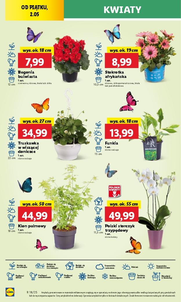 Gazetka promocyjna Lidl str. 42