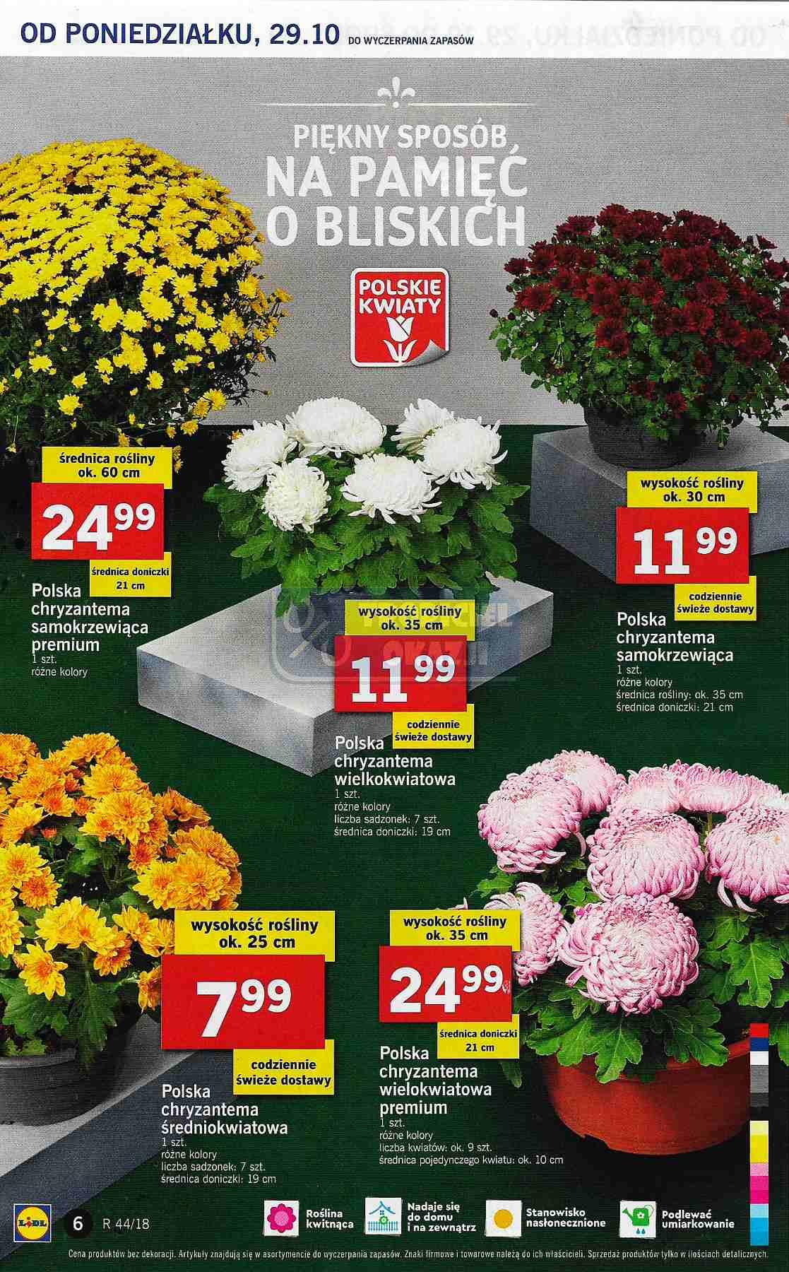 Gazetka promocyjna Lidl str. 6