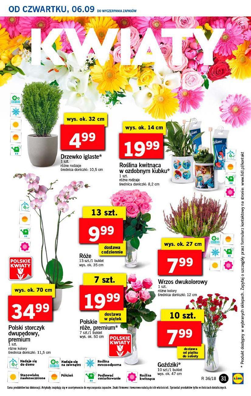 Gazetka promocyjna Lidl str. 31