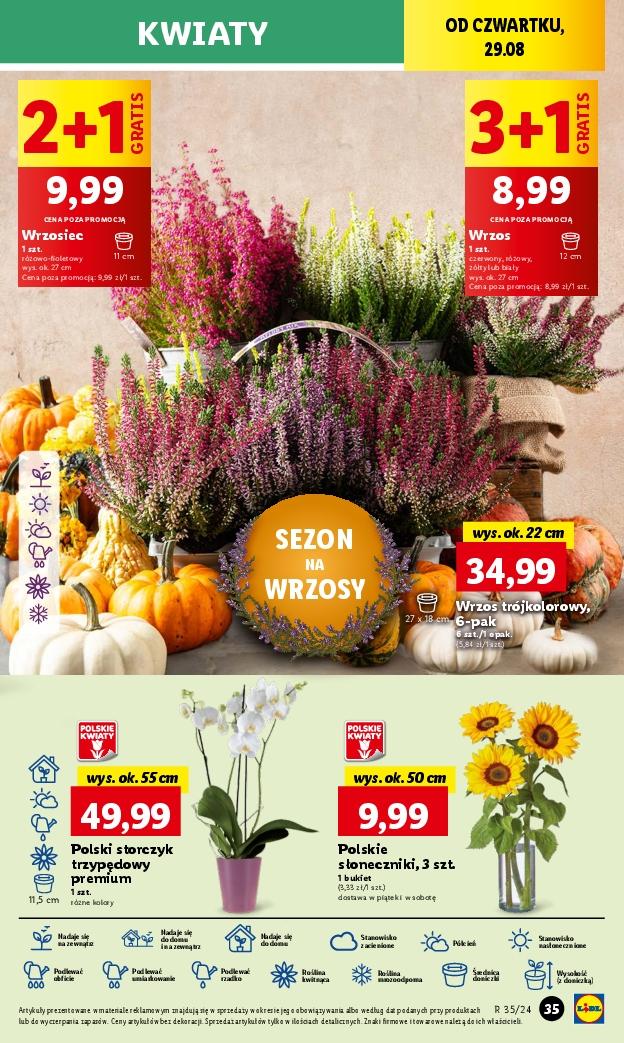 Gazetka promocyjna Lidl str. 41