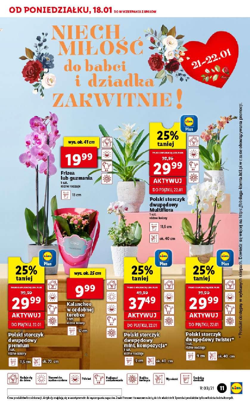 Gazetka promocyjna Lidl str. 11