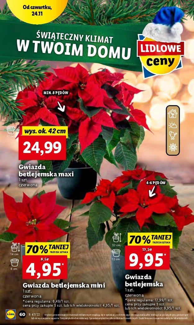 Gazetka promocyjna Lidl str. 62