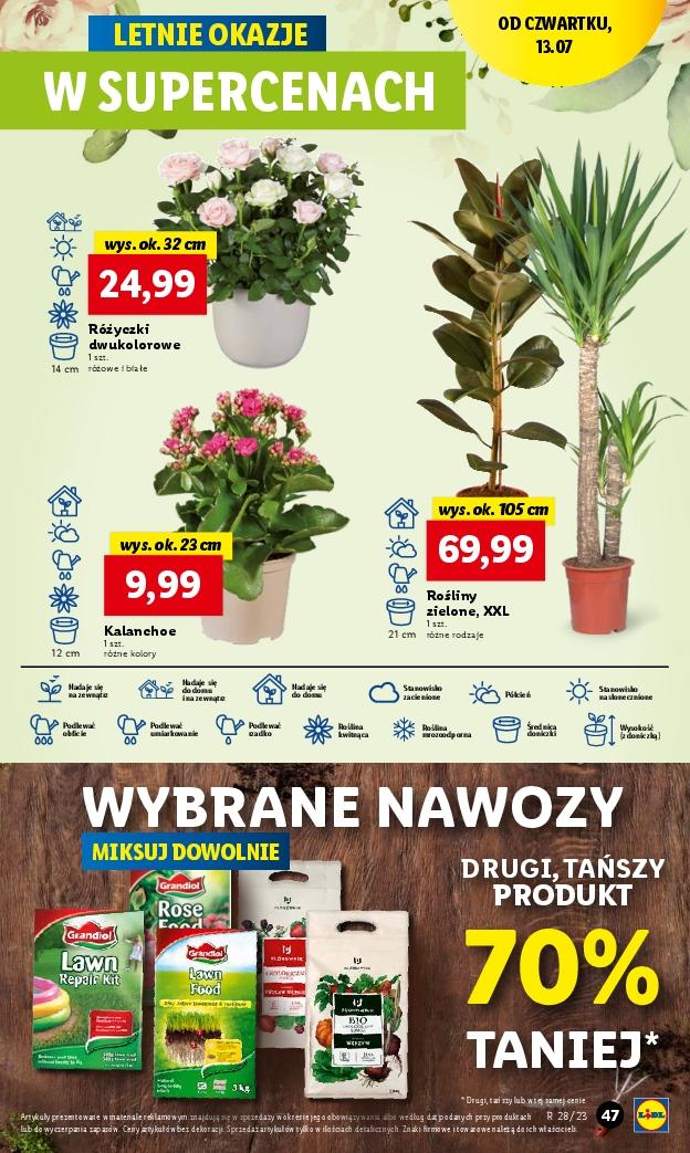 Gazetka promocyjna Lidl str. 61