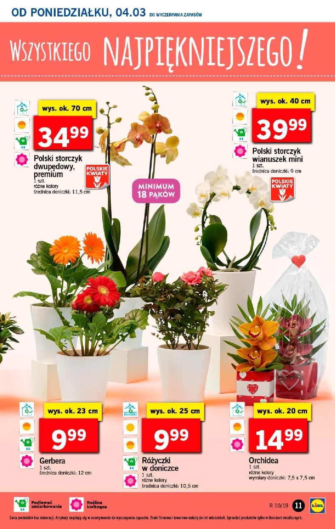 Gazetka promocyjna Lidl str. 11