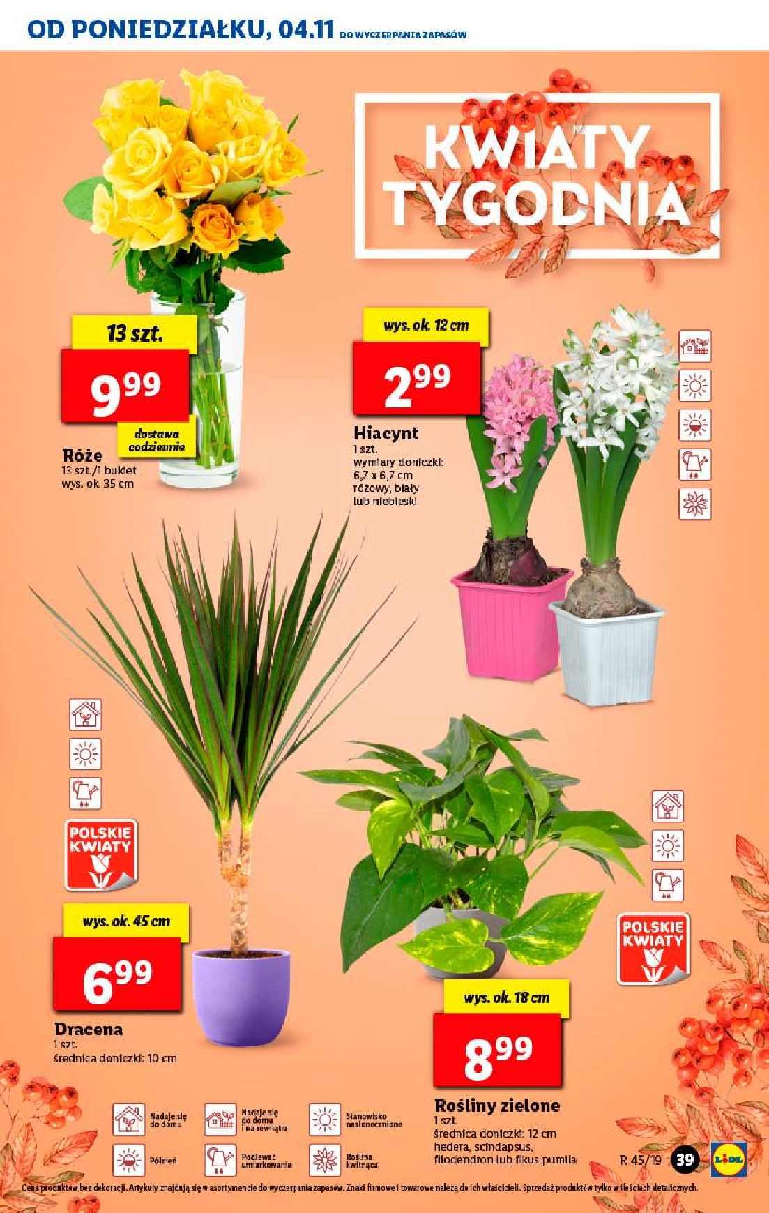 Gazetka promocyjna Lidl str. 39