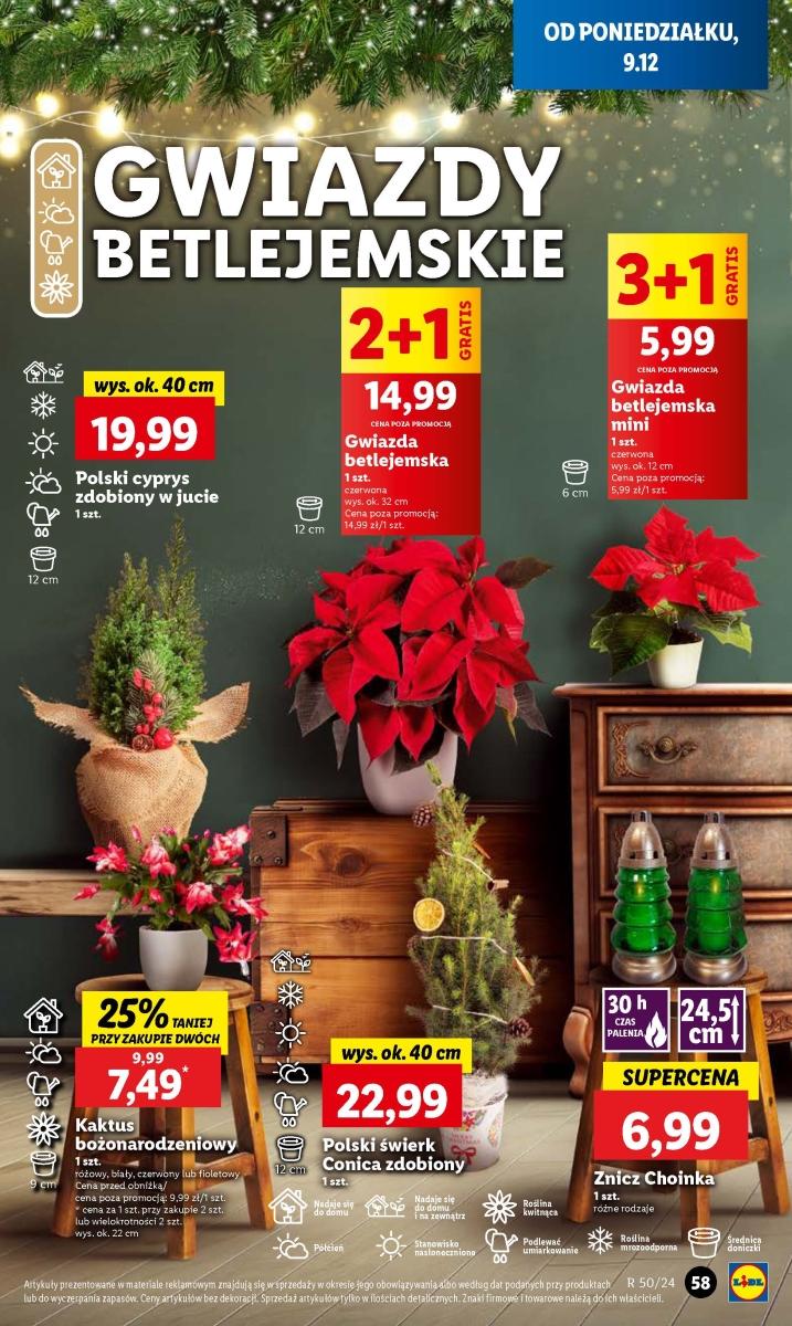 Gazetka promocyjna Lidl str. 61