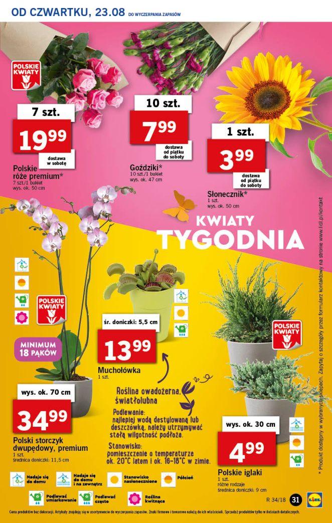 Gazetka promocyjna Lidl str. 31