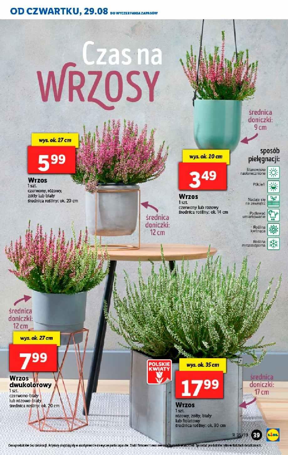 Gazetka promocyjna Lidl str. 39