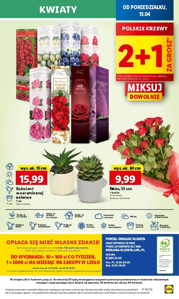 Gazetka promocyjna Lidl str. 51