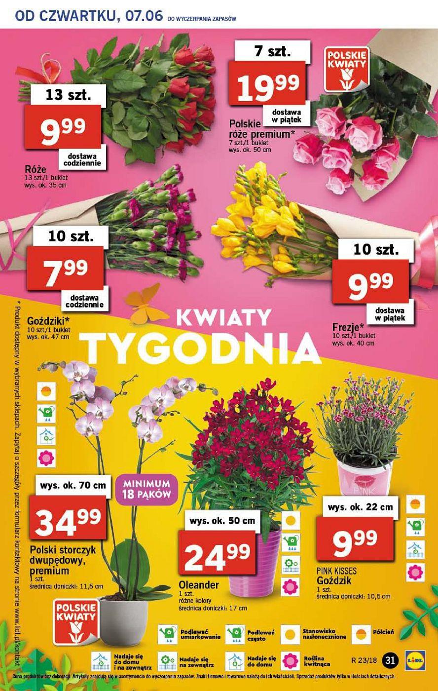 Gazetka promocyjna Lidl str. 31