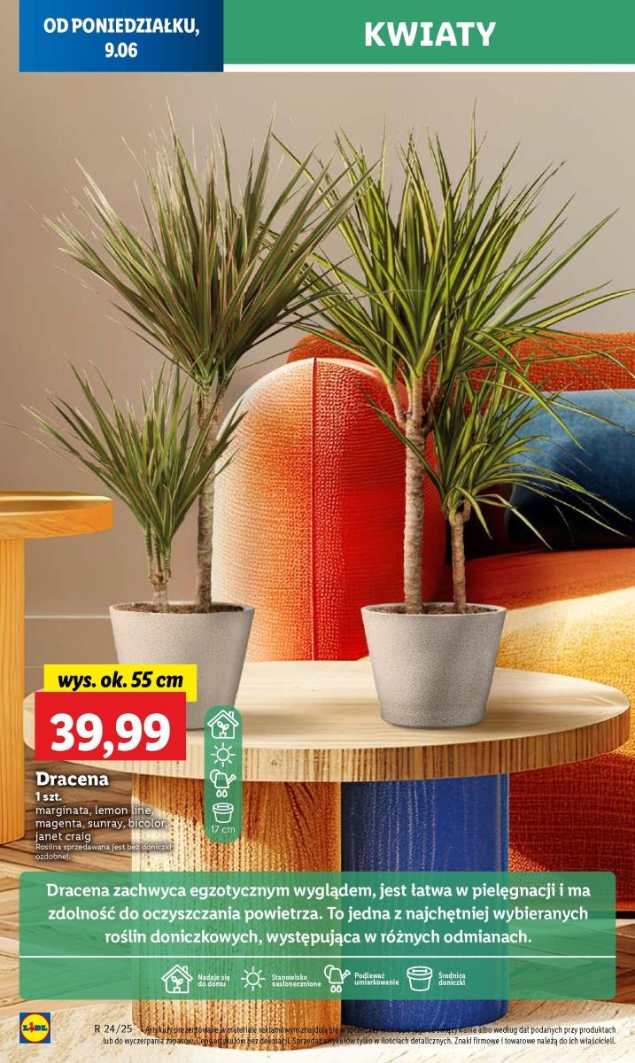 Gazetka promocyjna Lidl str. 64