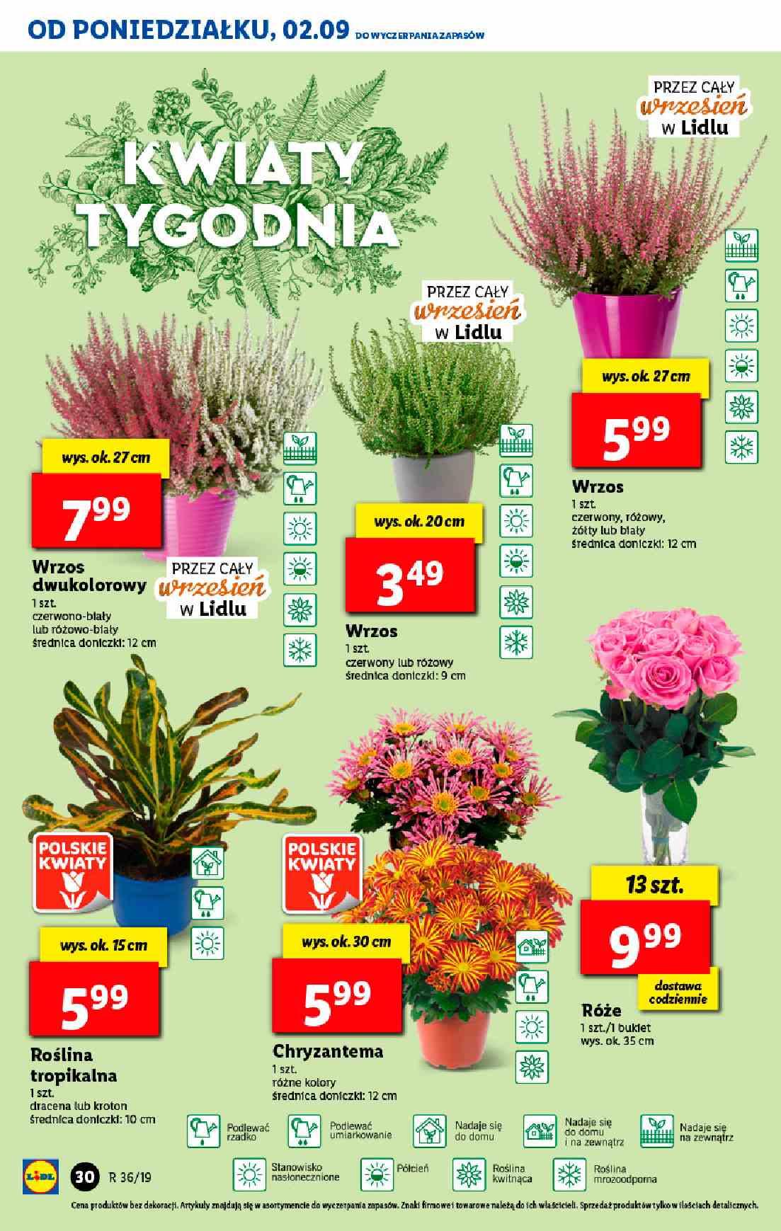 Gazetka promocyjna Lidl str. 30
