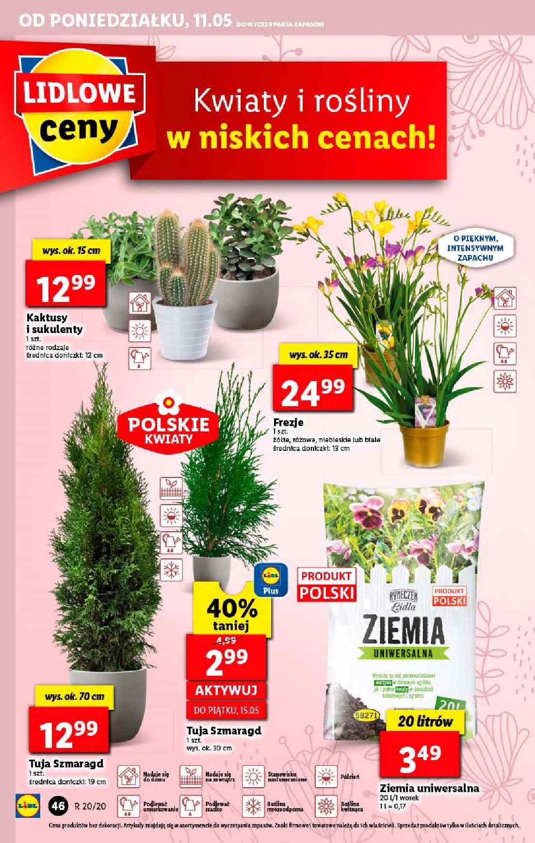 Gazetka promocyjna Lidl str. 46