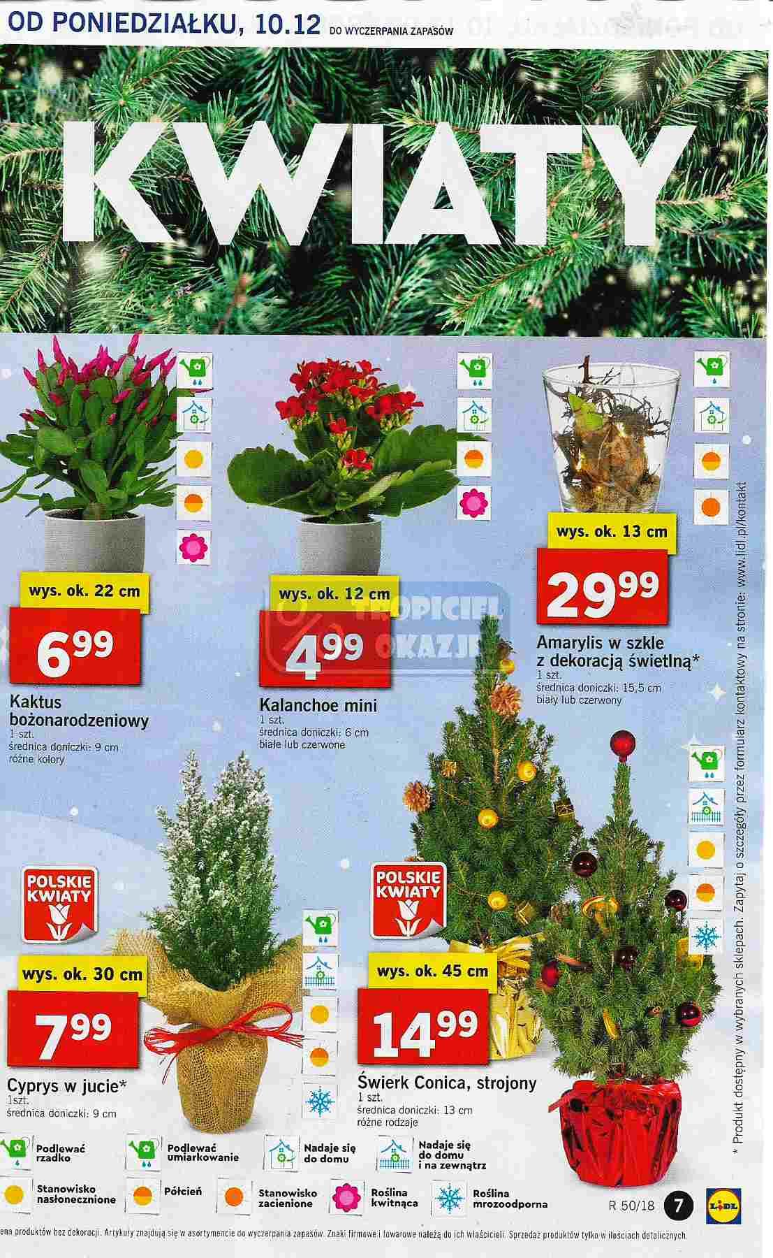 Gazetka promocyjna Lidl str. 7