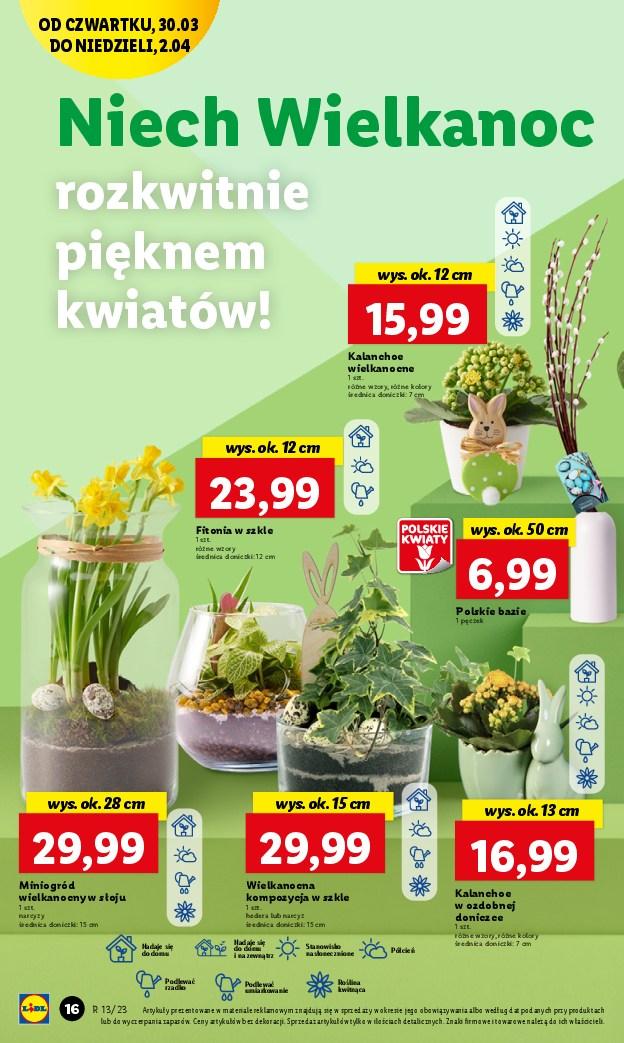 Gazetka promocyjna Lidl str. 16