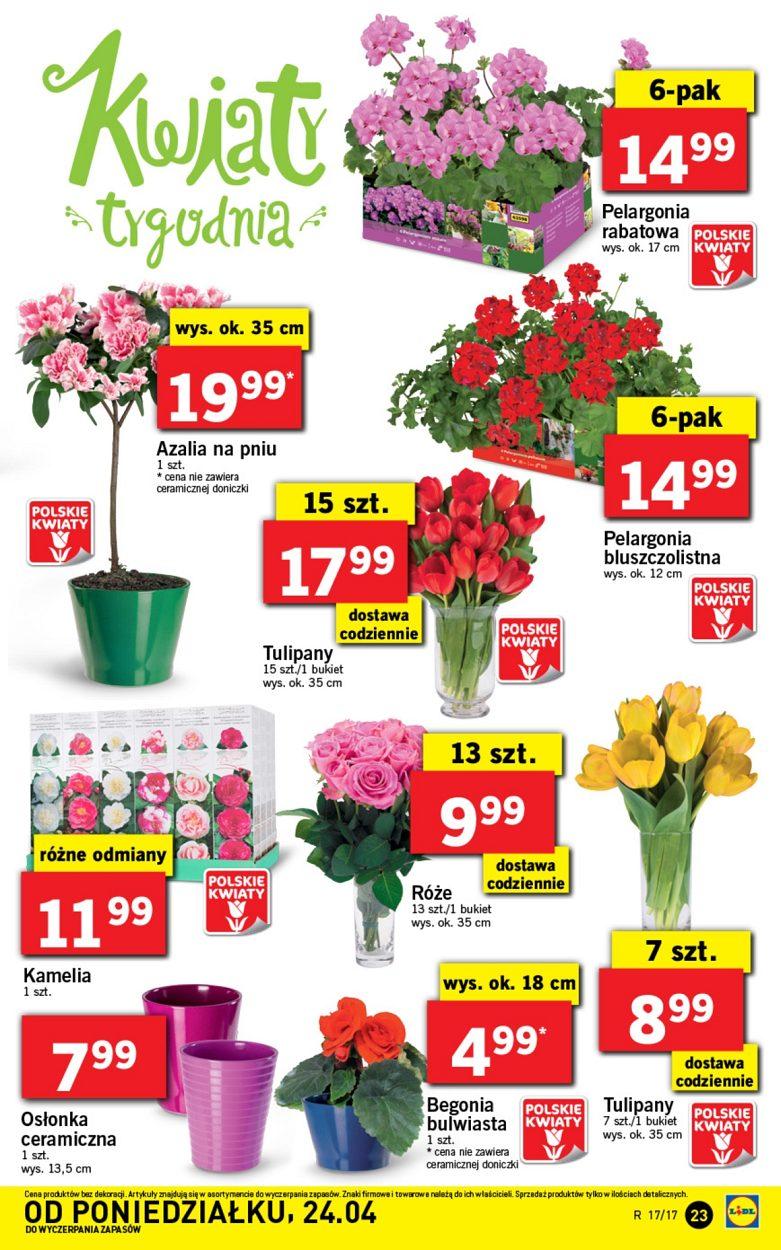 Gazetka promocyjna Lidl str. 23