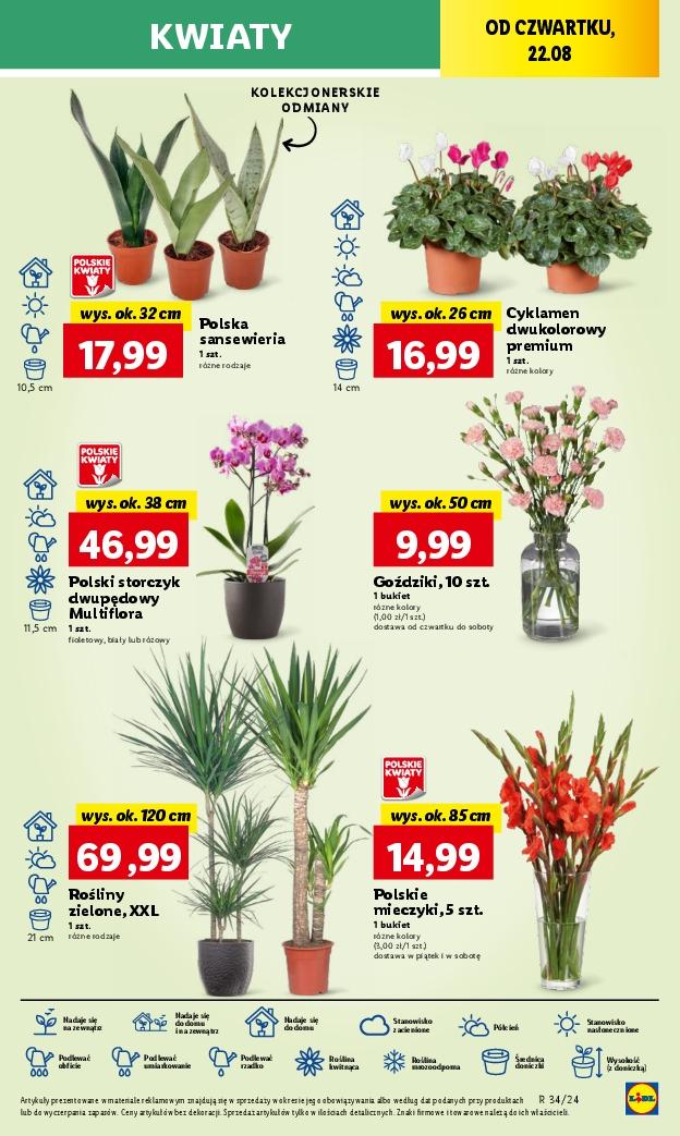 Gazetka promocyjna Lidl str. 39