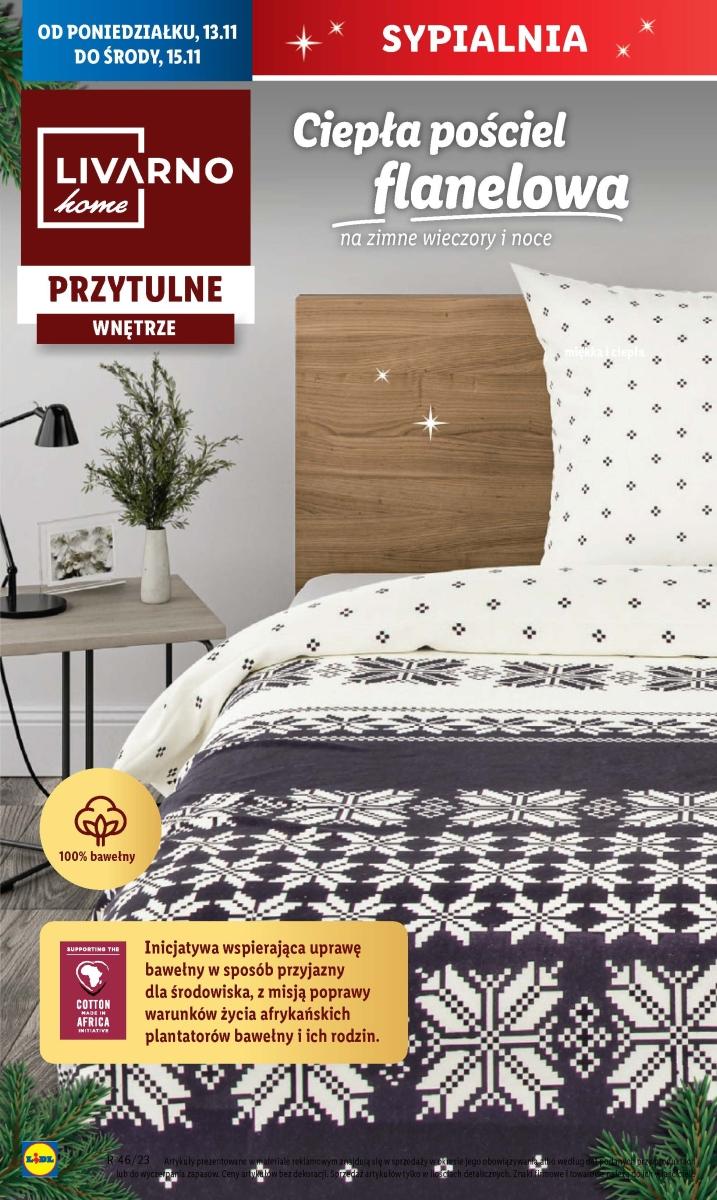 Gazetka promocyjna Lidl str. 21