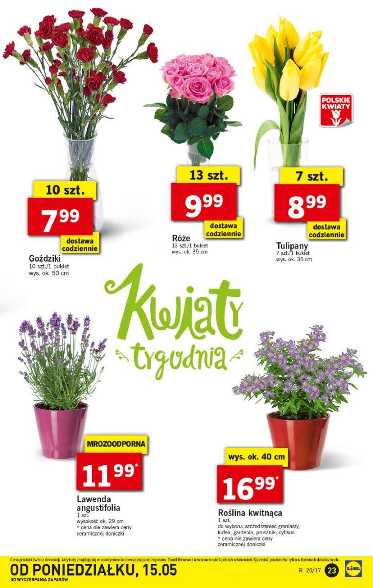 Gazetka promocyjna Lidl str. 23