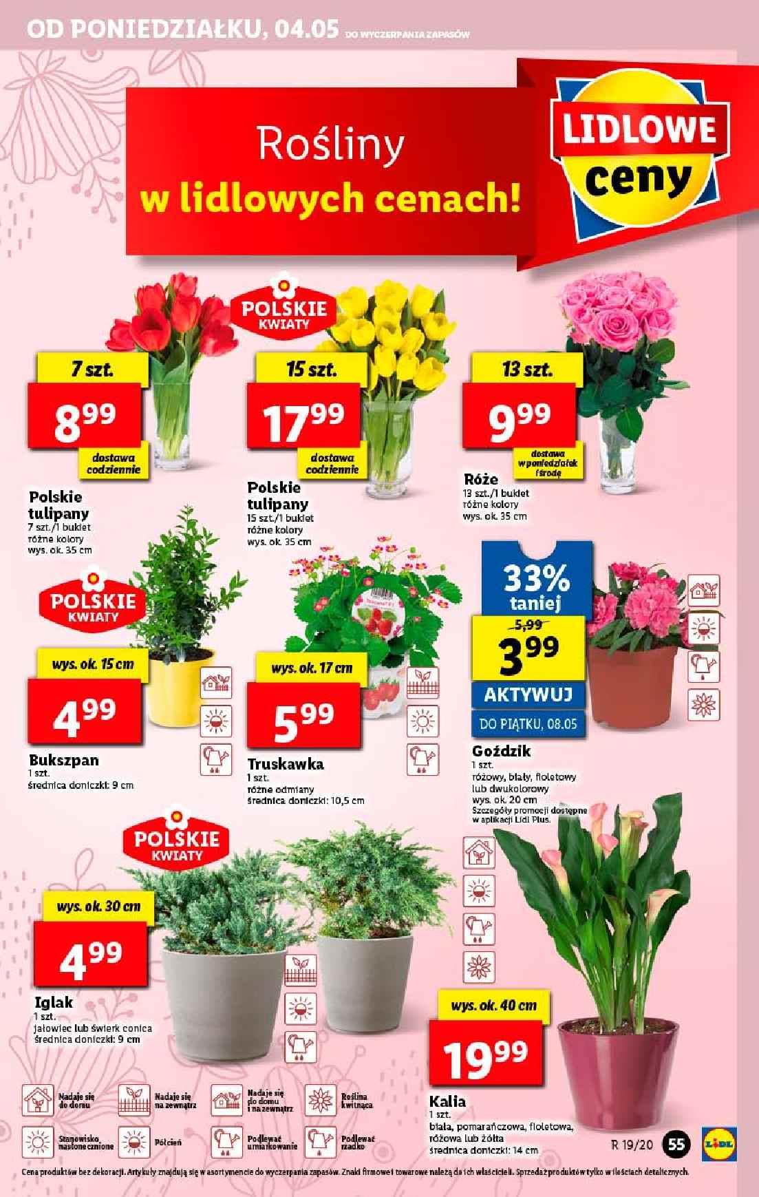 Gazetka promocyjna Lidl str. 55