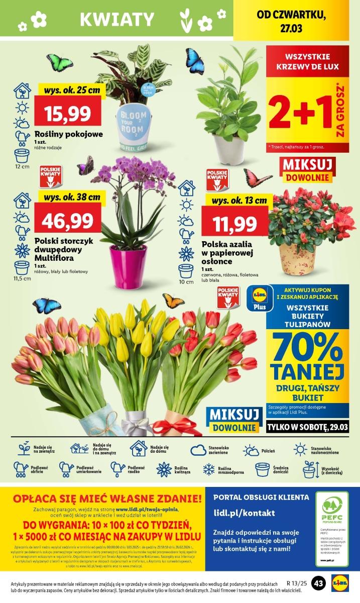 Gazetka promocyjna Lidl str. 50