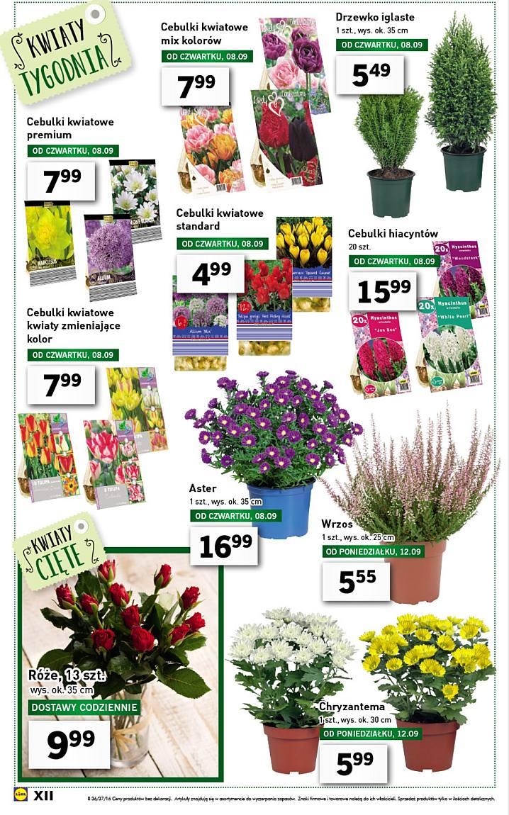 Gazetka promocyjna Lidl str. 12