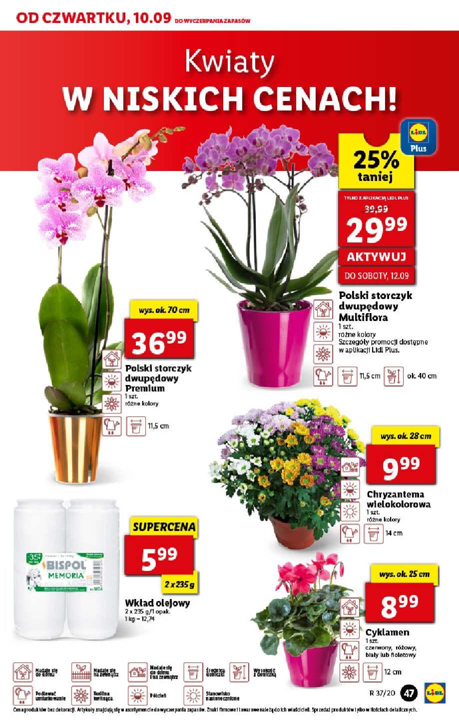 Gazetka promocyjna Lidl str. 47