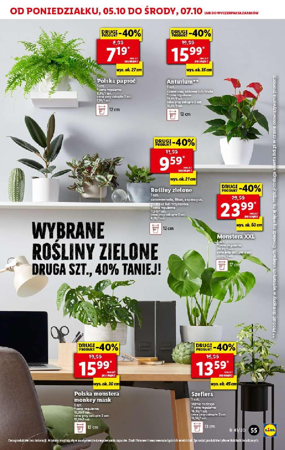 Gazetka promocyjna Lidl str. 55