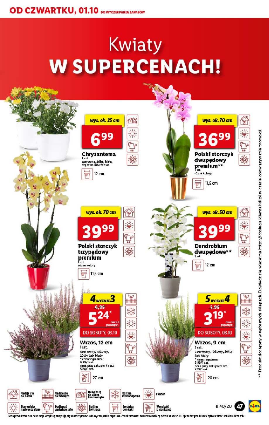 Gazetka promocyjna Lidl str. 47