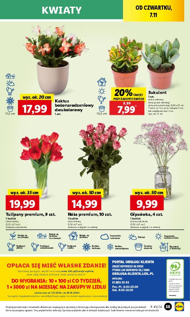 Gazetka promocyjna Lidl str. 61