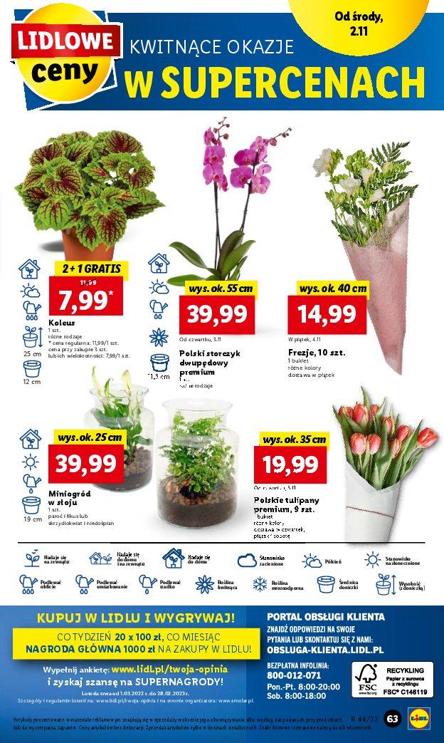 Gazetka promocyjna Lidl str. 63