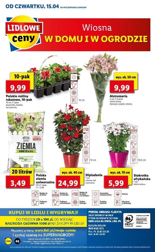 Gazetka promocyjna Lidl str. 46