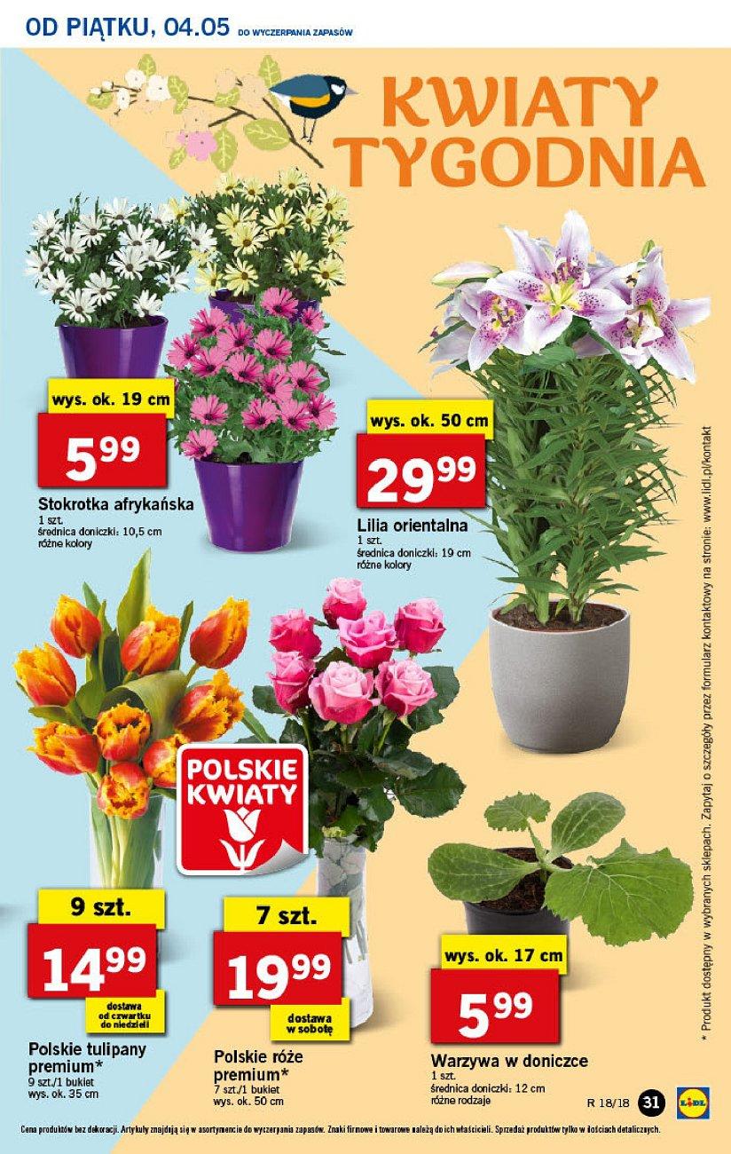 Gazetka promocyjna Lidl str. 31