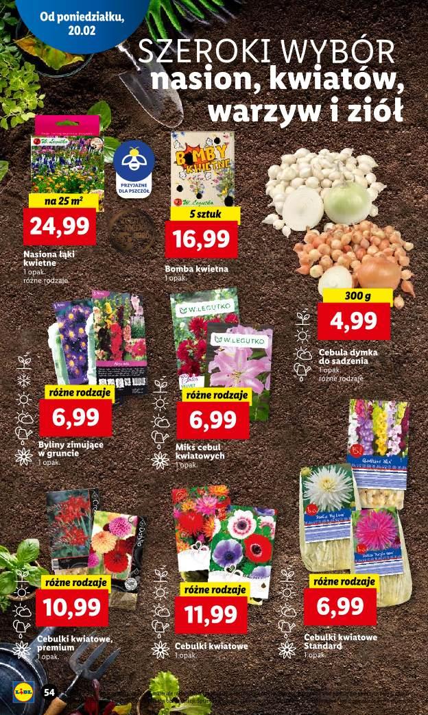 Gazetka promocyjna Lidl str. 62