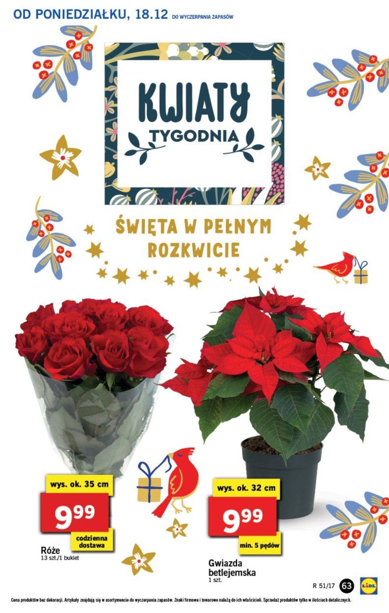 Gazetka promocyjna Lidl str. 63