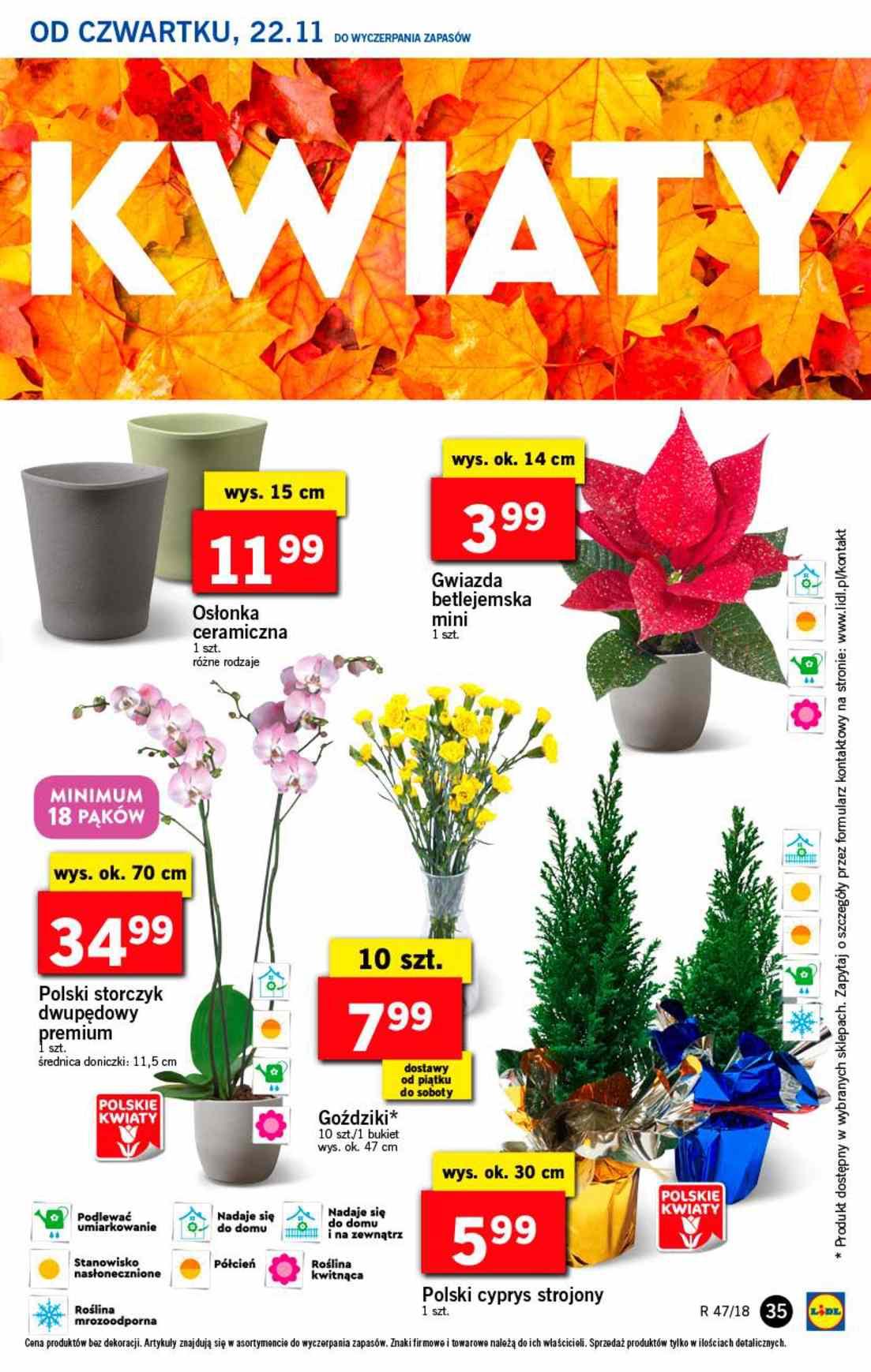 Gazetka promocyjna Lidl str. 35